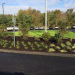 pittsburgh-commercial-landscapers